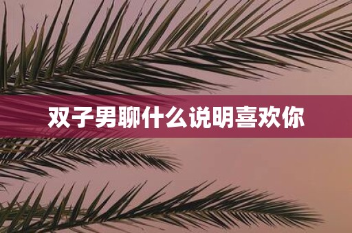 双子男聊什么说明喜欢你