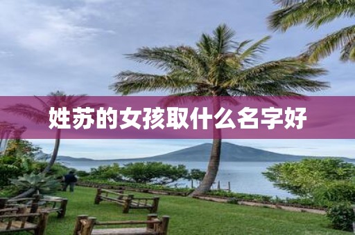 姓苏的女孩取什么名字好