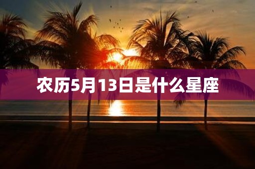 农历5月13日是什么星座