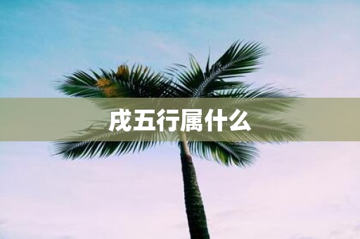 戌五行属什么