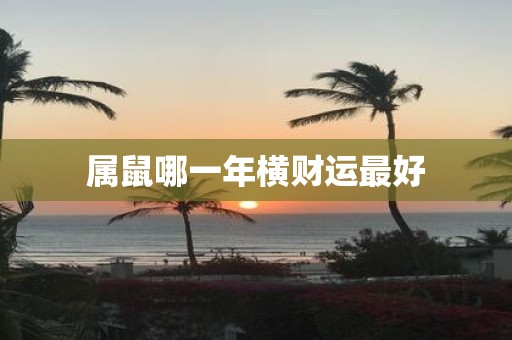 属鼠哪一年横财运最好