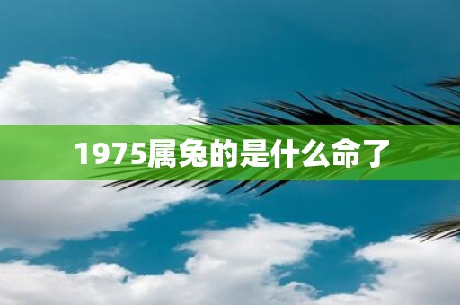 1975属兔的是什么命了