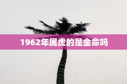 1962年属虎的是金命吗