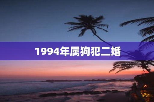 1994年属狗犯二婚