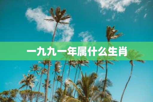一九九一年属什么生肖
