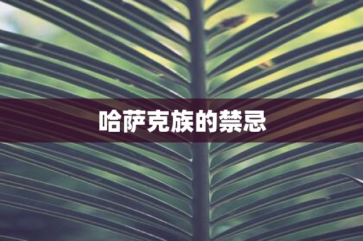 哈萨克族的禁忌