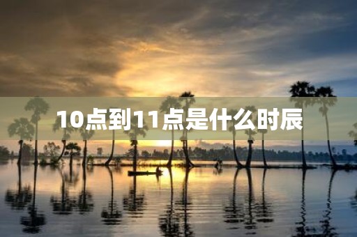 10点到11点是什么时辰