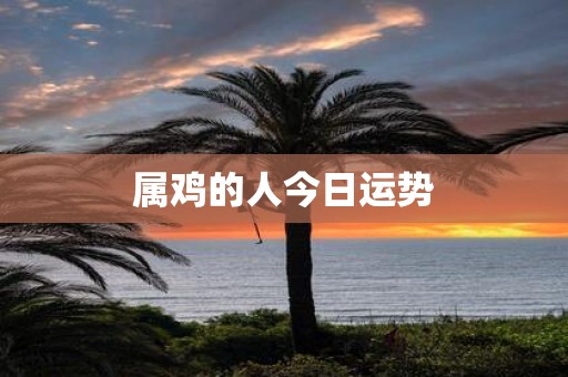 属鸡的人今日运势