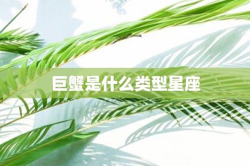 巨蟹是什么类型星座