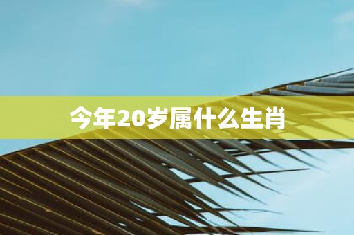 今年20岁属什么生肖