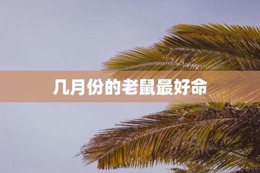 几月份的老鼠最好命