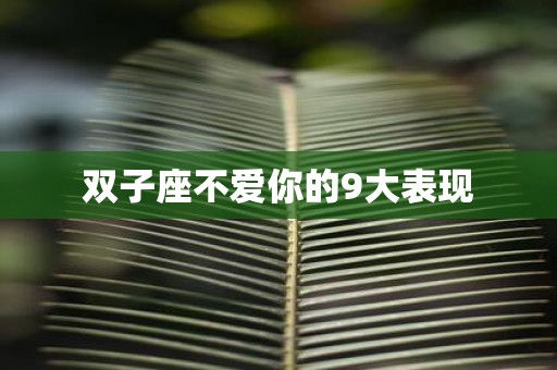 双子座不爱你的9大表现