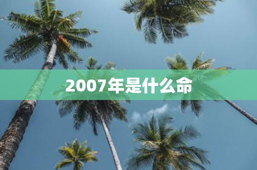 2007年是什么命