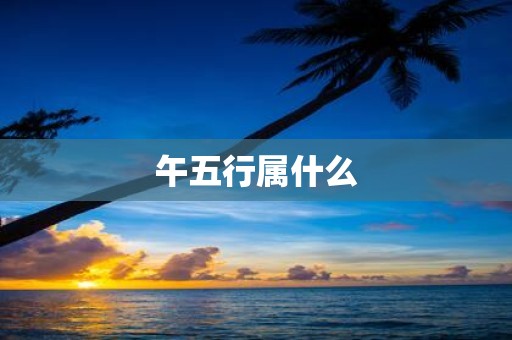 午五行属什么