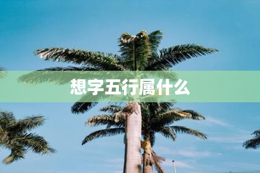 想字五行属什么