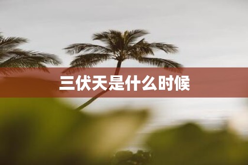 三伏天是什么时候