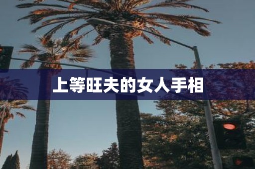 上等旺夫的女人手相
