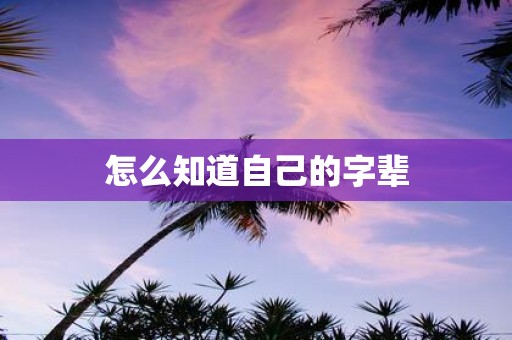 怎么知道自己的字辈