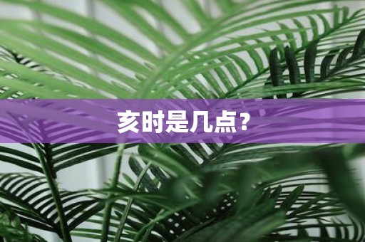 亥时是几点？