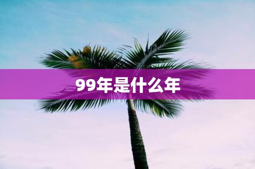 99年是什么年