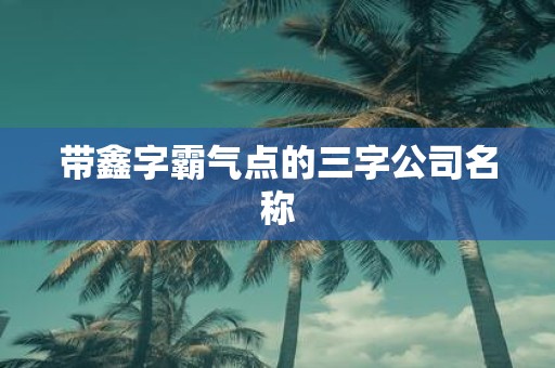 带鑫字霸气点的三字公司名称