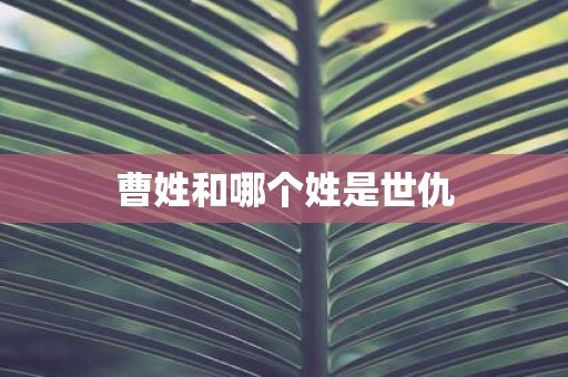 曹姓和哪个姓是世仇