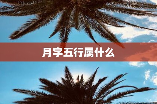 月字五行属什么