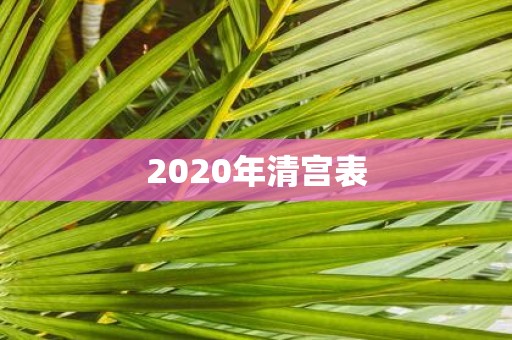 2020年清宫表