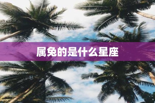 属兔的是什么星座