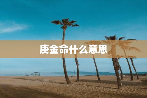 庚金命什么意思