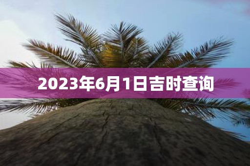 2023年6月1日吉时查询