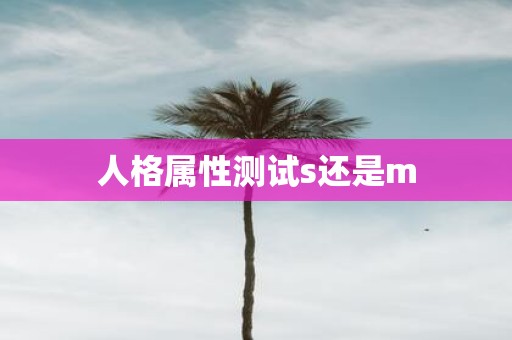 人格属性测试s还是m