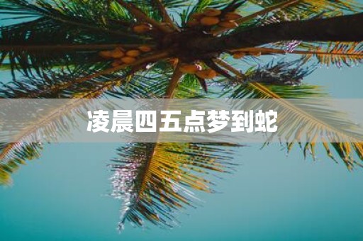凌晨四五点梦到蛇