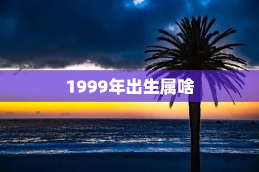 1999年出生属啥