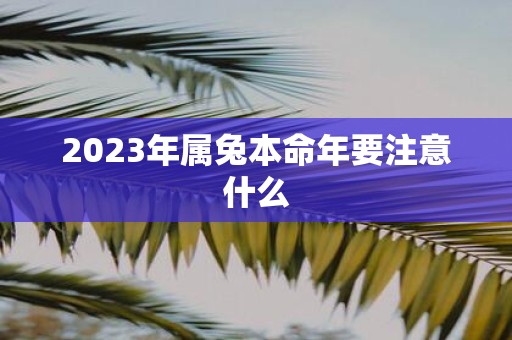 2025年属兔本命年要注意什么