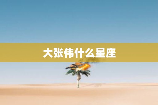 大张伟什么星座