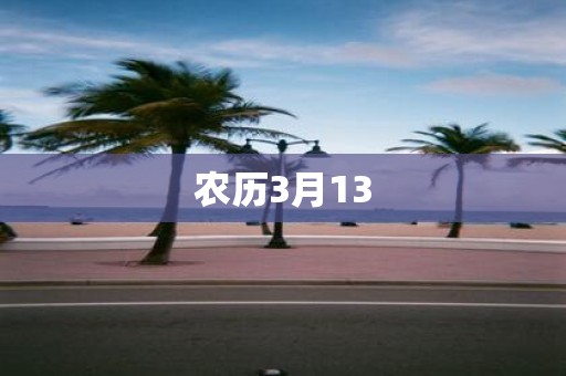 农历3月13
