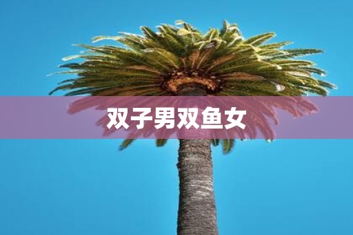 双子男双鱼女