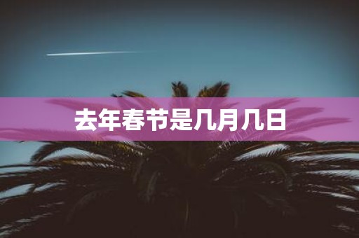 去年春节是几月几日