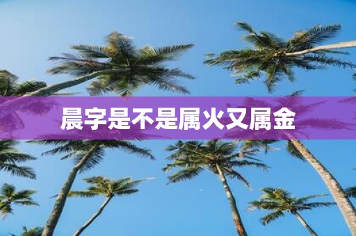 晨字是不是属火又属金