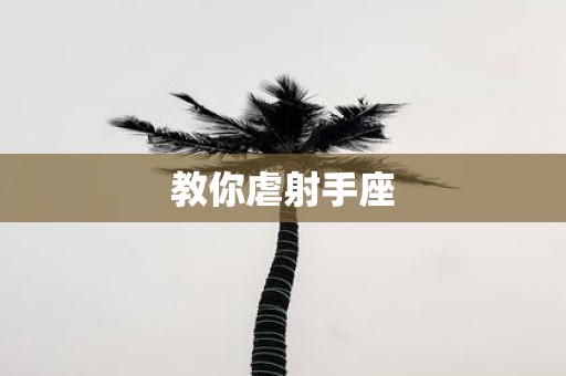 教你虐射手座