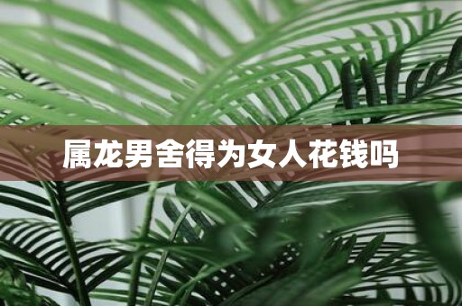属龙男舍得为女人花钱吗