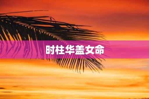 时柱华盖女命