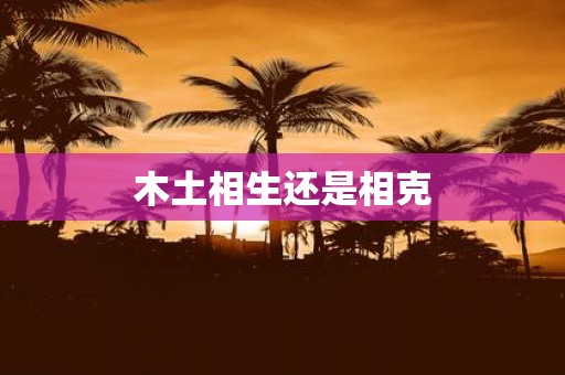 木土相生还是相克