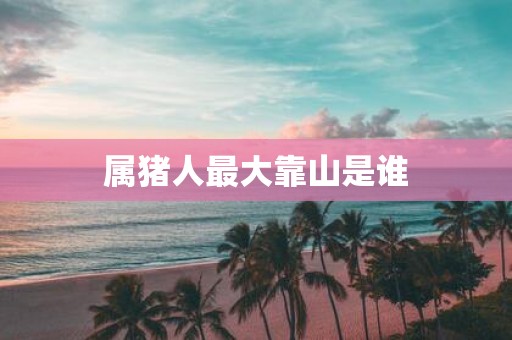 属猪人最大靠山是谁