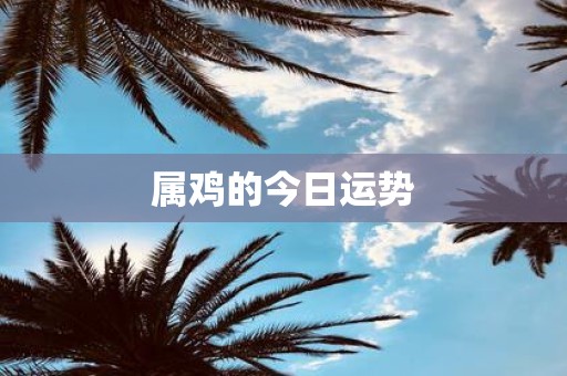 属鸡的今日运势