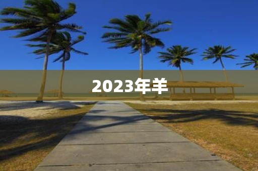 2025年羊