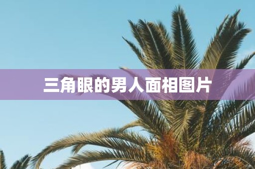 三角眼的男人面相图片