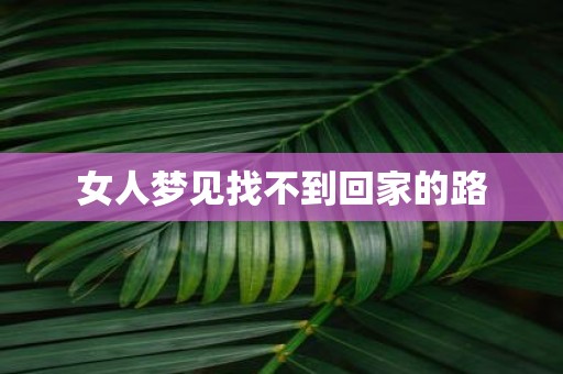 女人梦见找不到回家的路