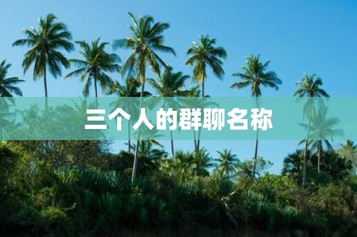 三个人的群聊名称